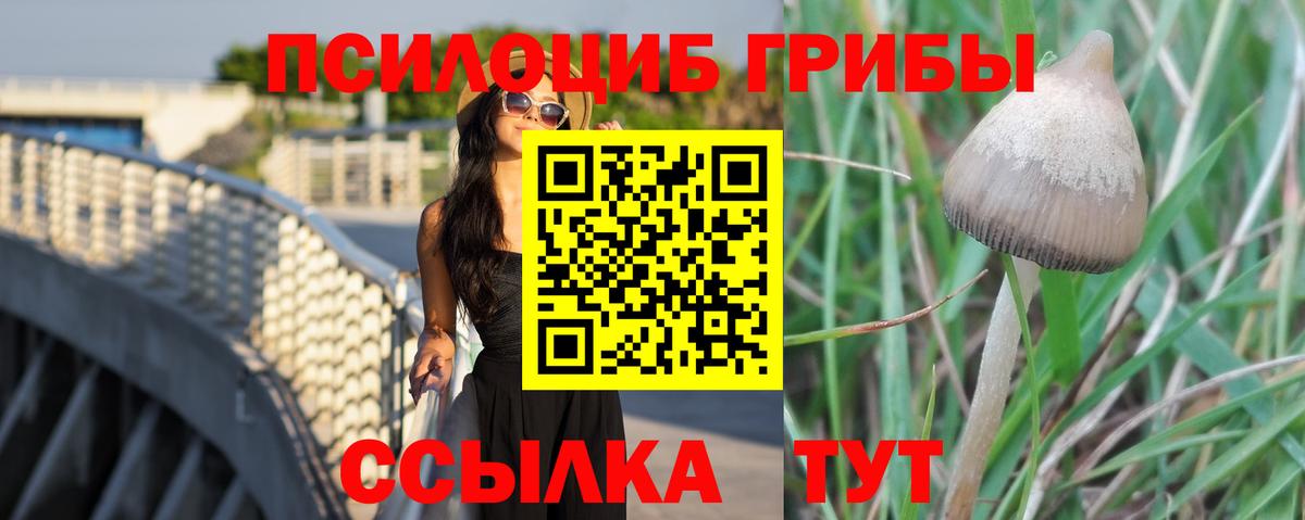 Галлюциногенные грибы Cubensis  Вход с VPN  Калач-на-Дону 